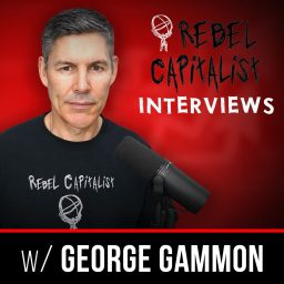 Artwork for Rebel Capitalist Interviews
