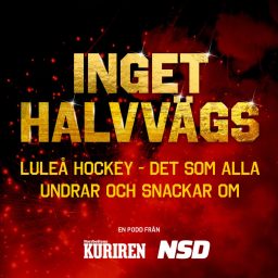 Artwork for Inget halvvägs