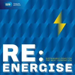 Artwork for Re:Energise from ESB