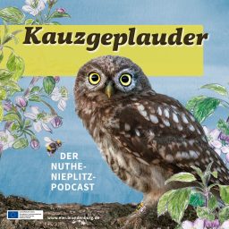 Artwork for Kauzgeplauder