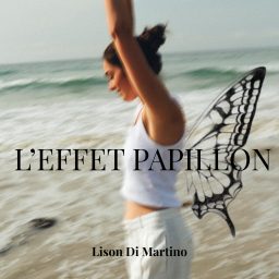 Artwork for L'EFFET PAPILLON