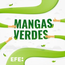 Artwork for Mangas Verdes