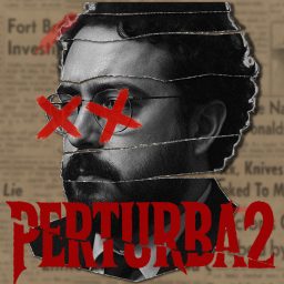 Artwork for Perturba2
