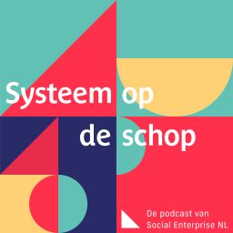 Artwork for Systeem op de schop