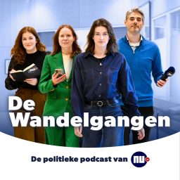 Artwork for De Wandelgangen