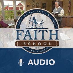 Artwork for Faith School (Audio)