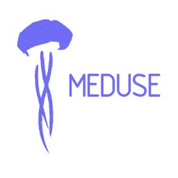 Artwork for Meduse Podcast