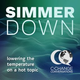 Artwork for Simmer Down