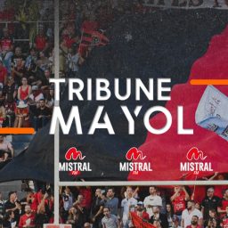 Artwork for Tribune Mayol