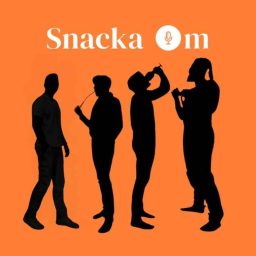 Artwork for Snacka om