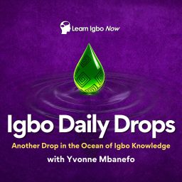 Artwork for Igbo Daily Drops