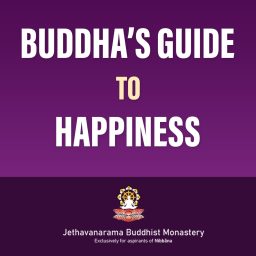 Artwork for Buddha's guide to Happiness