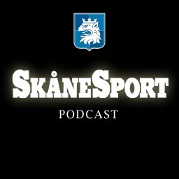 Artwork for Skånesport