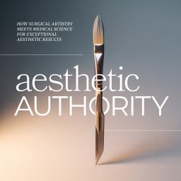 Artwork for Aesthetic Authority
