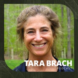 Artwork for Tara Brach