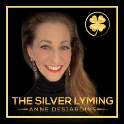 Artwork for The Silver Lyming