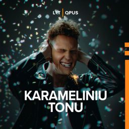 Artwork for Karameliniu tonu