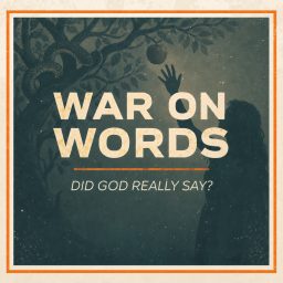 Artwork for War on Words
