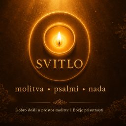 Artwork for SVITLO