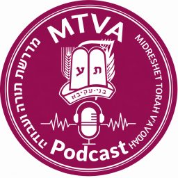 Artwork for MTVA Podcast