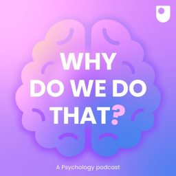 Artwork for Why Do We Do That?