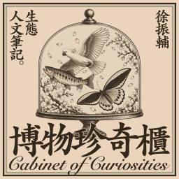 Artwork for 博物珍奇櫃——徐振輔生態人文筆記