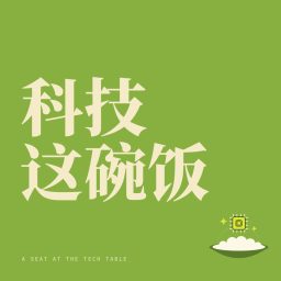 Artwork for 科技这碗饭
