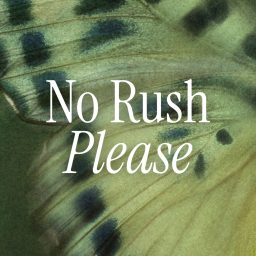 Artwork for No Rush Please