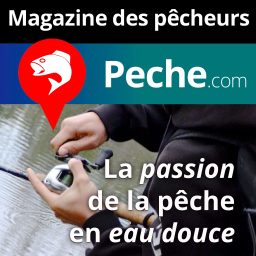 Artwork for Pêche en eau douce