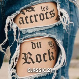 Artwork for Les accrocs du rock