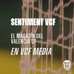 Artwork for SENTIMENT VCF