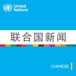 Artwork for 联合国新闻 - 全球视野, 常人故事