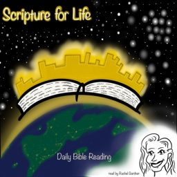 Artwork for Scripture for Life: Daily Bible Reading