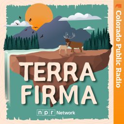 Artwork for Terra Firma