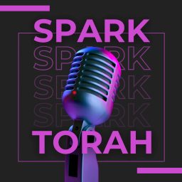 Artwork for Spark Torah Podcast
