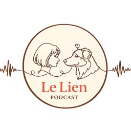 Artwork for Le Lien - Podcast