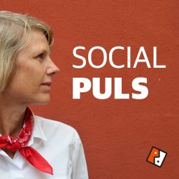 Artwork for Social Puls