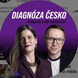 Artwork for Diagnóza Česko