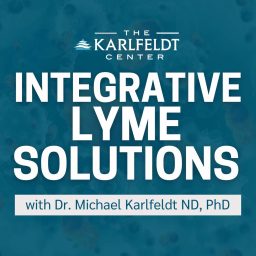 Artwork for Integrative Lyme Solutions with Dr. Karlfeldt