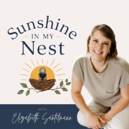 Artwork for Sunshine in My Nest