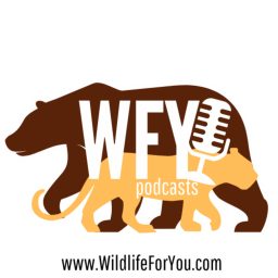 Artwork for Wildlife for You