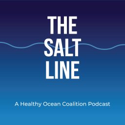 Artwork for The Salt Line