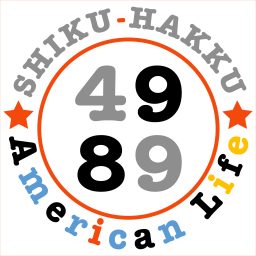 Artwork for 4989 American Life