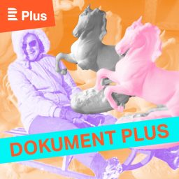 Artwork for Dokument Plus